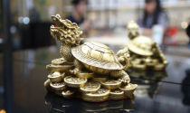 Ý nghĩa của long quy trong phong thủy là gì?