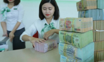 Các ngân hàng tư nhân Việt Nam xin mở rộng hạn mức tín dụng