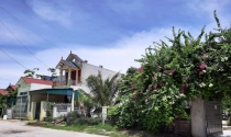 'Xẻ thịt' dự án khu du lịch sinh thái