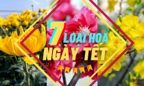 7 loại hoa ngày Tết mang lại nhiều may mắn