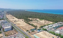 Phú Yên đấu giá khu đất làm dự án nhà ở hỗn hợp cao cấp gần 1.000 tỉ đồng