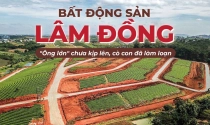 eMagazine: Bất động sản Lâm Đồng: “Ông lớn” chưa kịp lên, cò con đã làm loạn