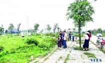 Kịp thời chấn chỉnh tình trạng 'bỏ cọc'sau đấu giá đất