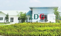 Đầu tư LDG: Cổ phiếu tăng nóng, lãnh tạo liên tục bán ra