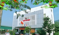Đại gia bất động sản, cảng biển Hoành Sơn bị phạt trăm triệu vì mua chui cổ phiếu Cao su Sao Vàng