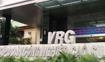 Thanh tra điểm tên VRG, Vinafor, Vinatea do sai phạm trong quản lý đất đai