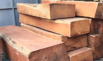 Bảng giá gỗ gõ đỏ mới nhất hiện nay