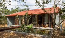 Nhà cấp 4 an yên giữa làng bưởi xa rời phố thị ở Huế