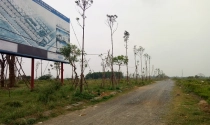 Nghe bạn thân, đầu tư đất nền đón “sóng” quy hoạch ai ngờ ôm “trái đắng”