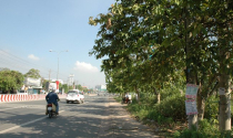 Nhà đầu tư về tỉnh kiếm bạc lẻ