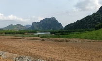 Sau "cơn sốt" khủng khiếp, đất miền núi Thanh Hóa bắt đầu "đóng băng"
