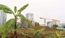 Doanh nghiệp địa ốc “khóc” vì ách tắc Luật Đất đai