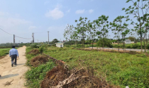 "Ôm hàng" chờ ăn chênh, sốt đất hạ nhiệt "cò đất" nhận trái đắng, lâm cảnh nợ nần