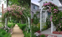 Ý tưởng thiết kế giàn hoa đẹp cho không gian sân vườn