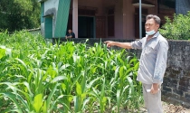 Xã bán đất trái thẩm quyền, dân lãnh hậu quả
