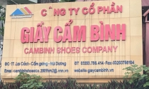Cẩm Giàng (Hải Dương): Doanh nghiệp xây dựng trái phép, gây ô nhiễm nhưng không bị xử lý?