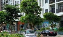 Thành phố Thanh Hóa: Hàng loạt chung cư thiếu chỗ để xe