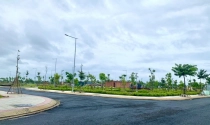 Đất đấu giá hấp dẫn giới đầu tư
