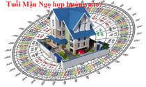 Tuổi Ngọ xây nhà hướng nào hợp phong thủy?