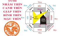 Tuổi Thìn xây nhà hướng nào hợp phong thủy?