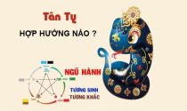 Gia chủ tuổi Tỵ chọn hướng xây nhà như thế nào?