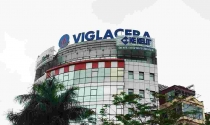 Thu về hơn 2.750 tỷ từ mảng bất động sản khu công nghiệp, Viglacera báo lãi lớn
