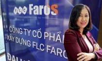 Hội đồng quản trị FLC Faros chỉ còn duy nhất một người