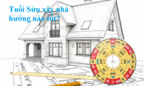 Gia chủ tuổi Sửu nên xây nhà hướng nào để hợp phong thủy?