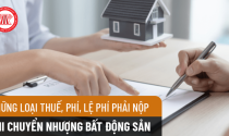 Chuyển nhượng bất động sản: Cần phải nộp các loại thuế, phí nào?