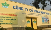 Công ty con của FLC bị phạt 170 triệu đồng do lỗi công bố thông tin liên quan đến lô đất thế chấp vay ngân hàng