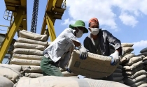 11 doanh nghiệp xi măng Việt Nam bị áp thuế tại Philippines