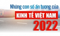 Bức tranh kinh tế Việt Nam 2022 - những con số ấn tượng