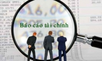 Một công ty bị xử phạt vì lỗ gấp 8 lần sau soát xét nhưng vẫn công bố sai lệch