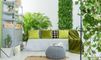 Xu hướng trang trí năm 2022: Vườn thẳng đứng trong nhà