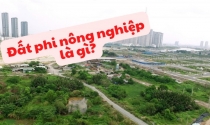 Đất phi nông nghiệp là gì?