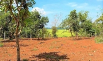 Dựng chòi trên đất ‘view’ ruộng, sông, suối: Tự nhận ‘cháu của cây tùng, cây bách’