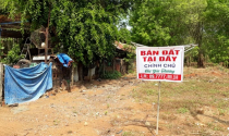 Nhà đầu tư bất động sản âm thầm cắt lỗ