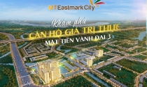 Khám phá căn hộ MT Eastmark City mặt tiền đường Vành đai 3