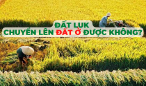 Đất LUK là gì, có chuyển lên đất ở được không?