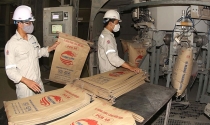 Giá bán tăng cao, tiêu thụ xi măng gặp khó