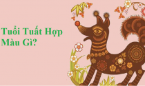 Tuổi Tuất hợp màu gì? Chọn màu nội thất nhà hợp phong thủy