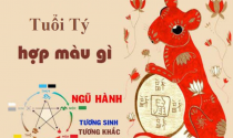 Tuổi Tý hợp màu gì? Chọn màu nội thất nhà ở phù hợp
