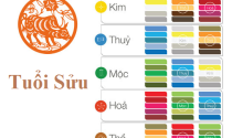 Tuổi Sửu hợp màu gì? Màu nội thất nhà hợp phong thủy