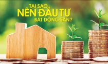 Tại sao nên đầu tư ?