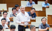 Đại biểu Quốc hội đề nghị xử lý trách nhiệm với 12 dự án thua lỗ, yếu kém ngành Công thương