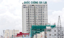Quốc Cường Gia Lai bị truy thu hơn nửa tỷ đồng tiền thuế