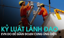 Sau kết luận thanh tra cung ứng điện, loạt lãnh đạo EVN đã bị kỷ luật