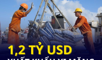 “Vật liệu tỷ đô” của Việt Nam được nhiều nước châu Á săn đón, xuất khẩu thu về hơn 1,2 tỷ USD