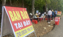 Luật càng chặt chẽ, đất nền vùng ven sẽ ngày càng kém hấp dẫn?