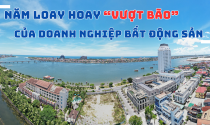 eMagazine: Năm loay hoay “vượt bão” của doanh nghiệp bất động sản